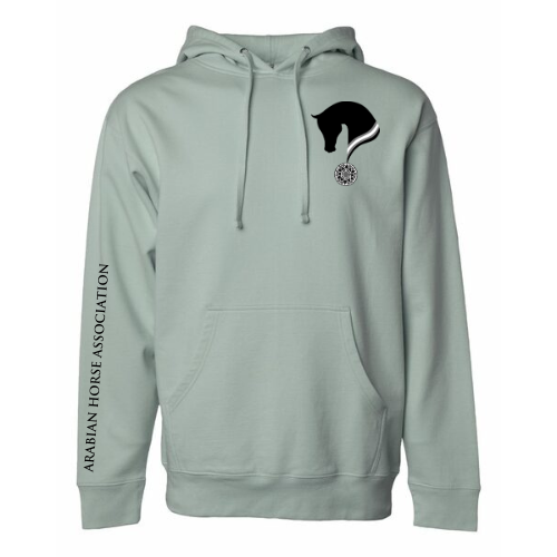 MSN Sage Hoodie