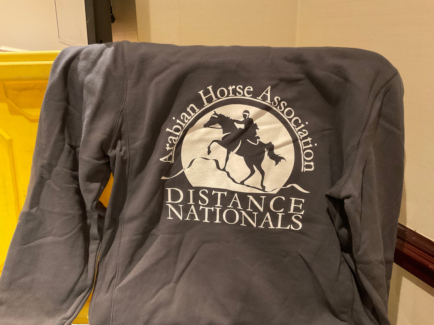 DNL Grey Hoodie
