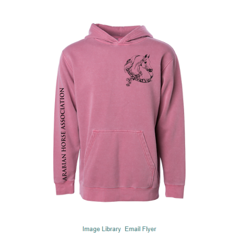 YNL Maroon Hoodie