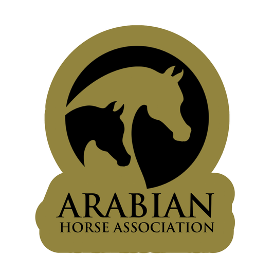 AHA Gold & Black Pin