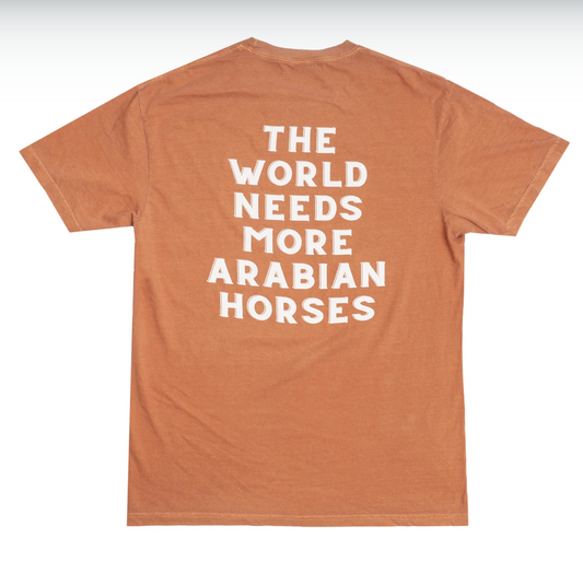 Unisex AHA The World Needs Tee - Orange