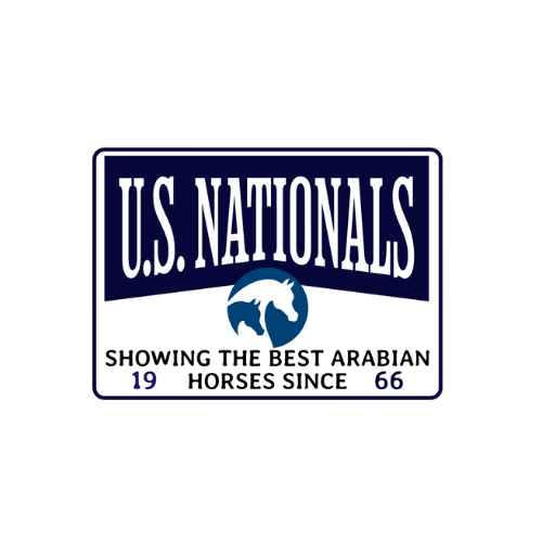 USN Navy Patch